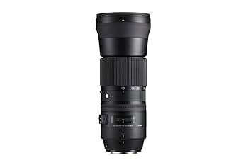 オマケ有 美品 SIGMA 150-600mm DG OS Sportsニコン Amazon.com : Sigma 150-600mm 5-6.3 Sports DG OS HSM Lens for